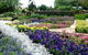 Gold Coast Regional Botanic Gardens - thumb 0